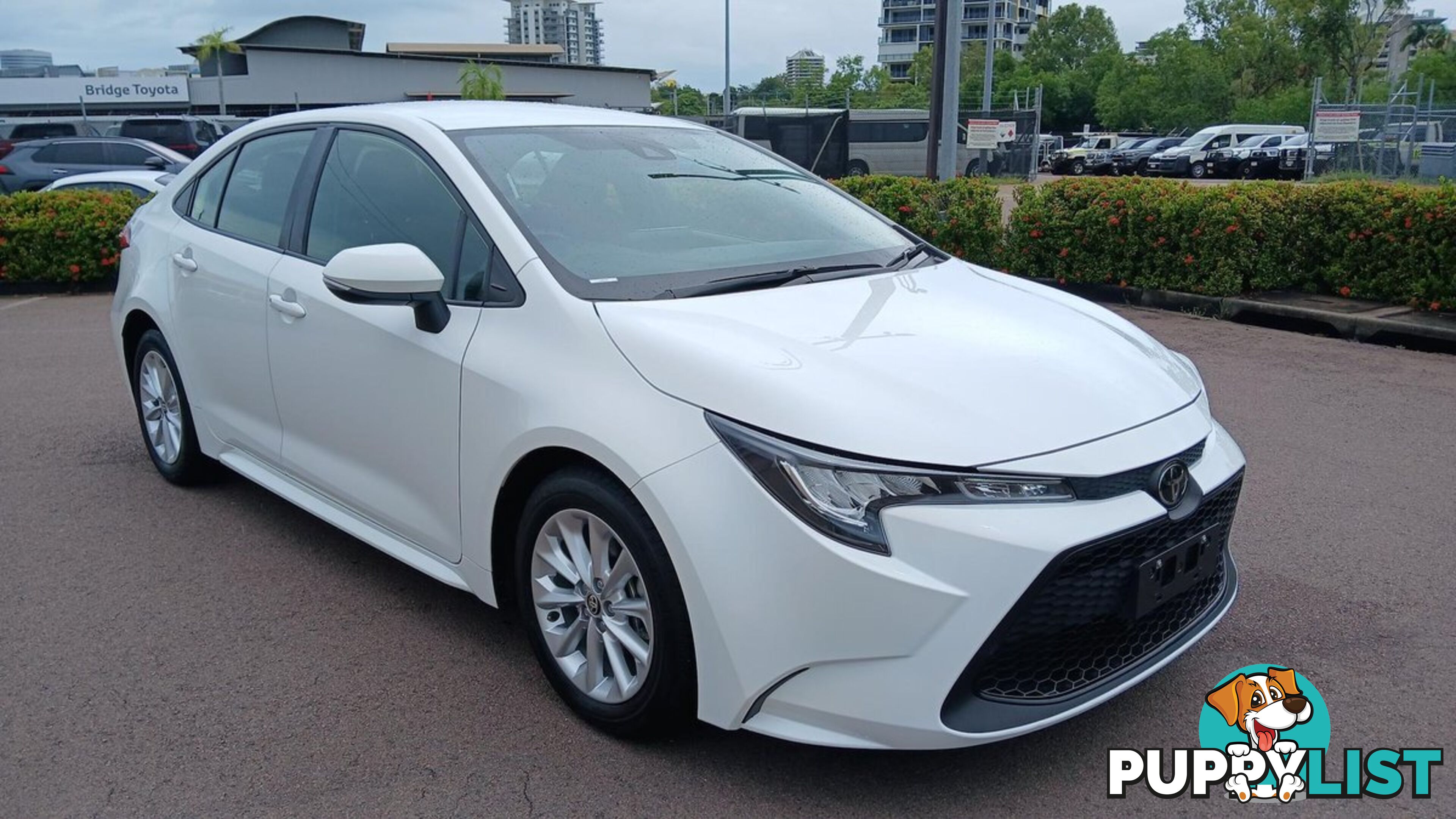 2022 TOYOTA COROLLA ASCENT-SPORT MZEA12R SEDAN