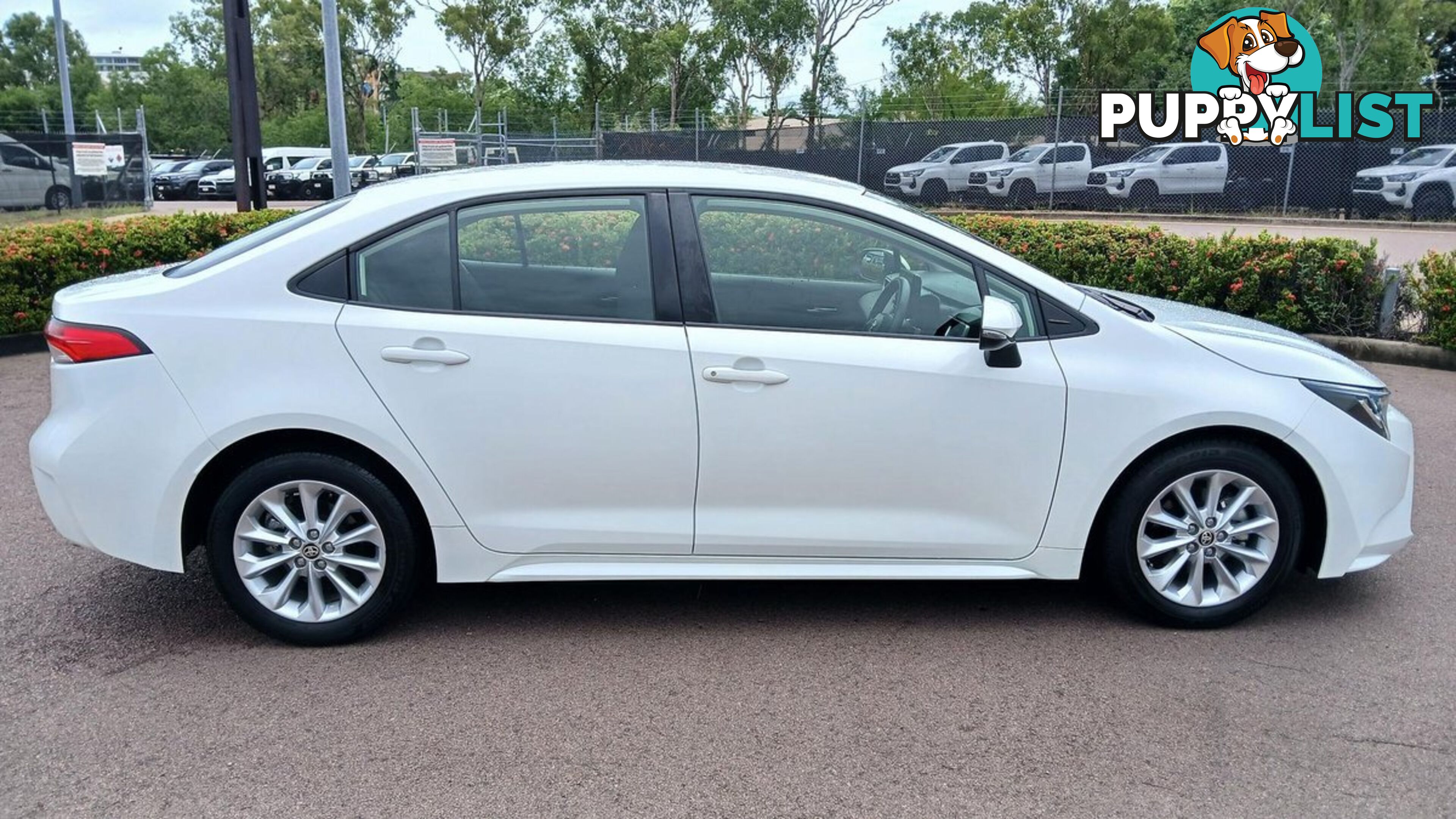 2022 TOYOTA COROLLA ASCENT-SPORT MZEA12R SEDAN