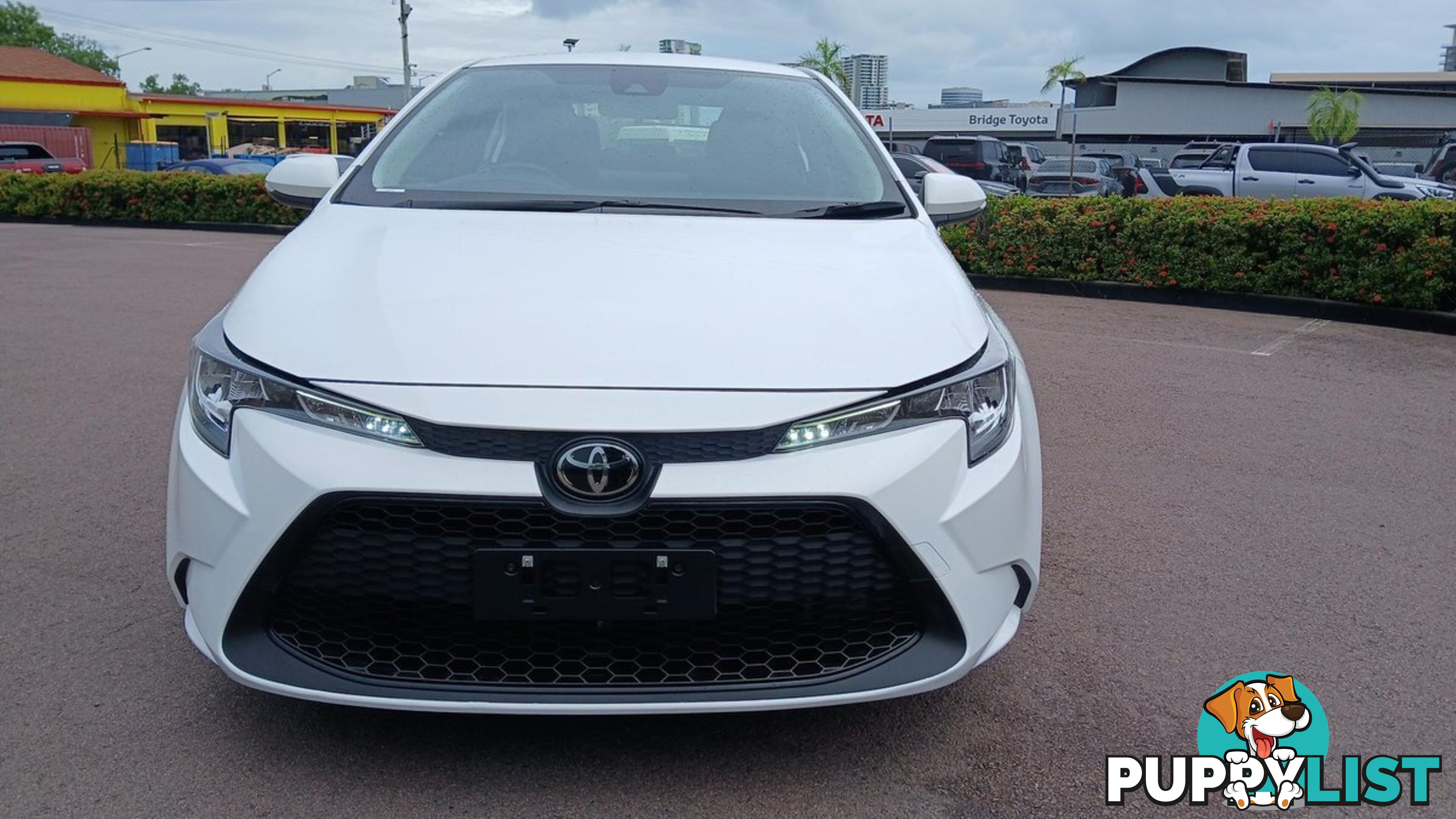 2022 TOYOTA COROLLA ASCENT-SPORT MZEA12R SEDAN