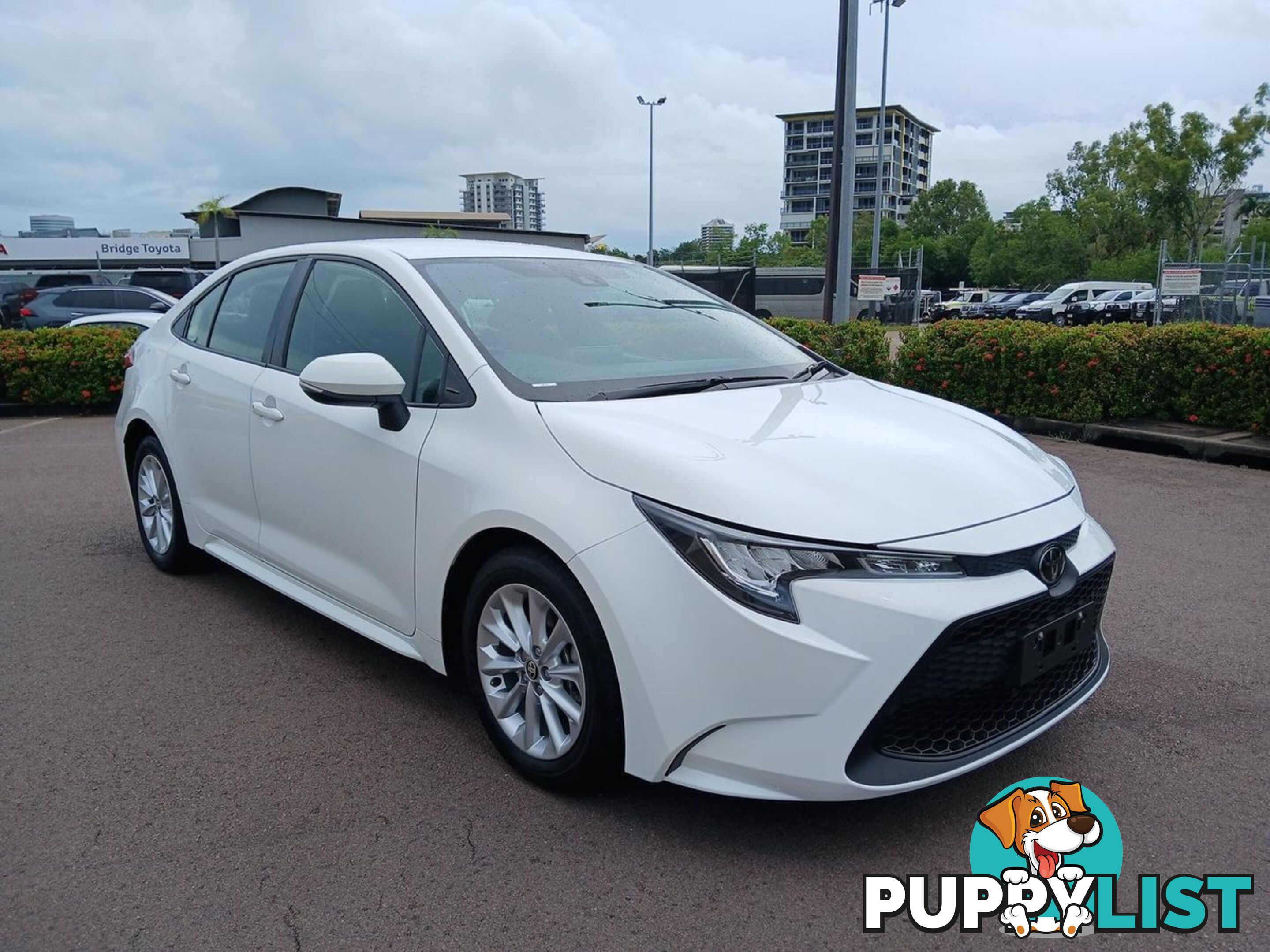2022 TOYOTA COROLLA ASCENT-SPORT MZEA12R SEDAN