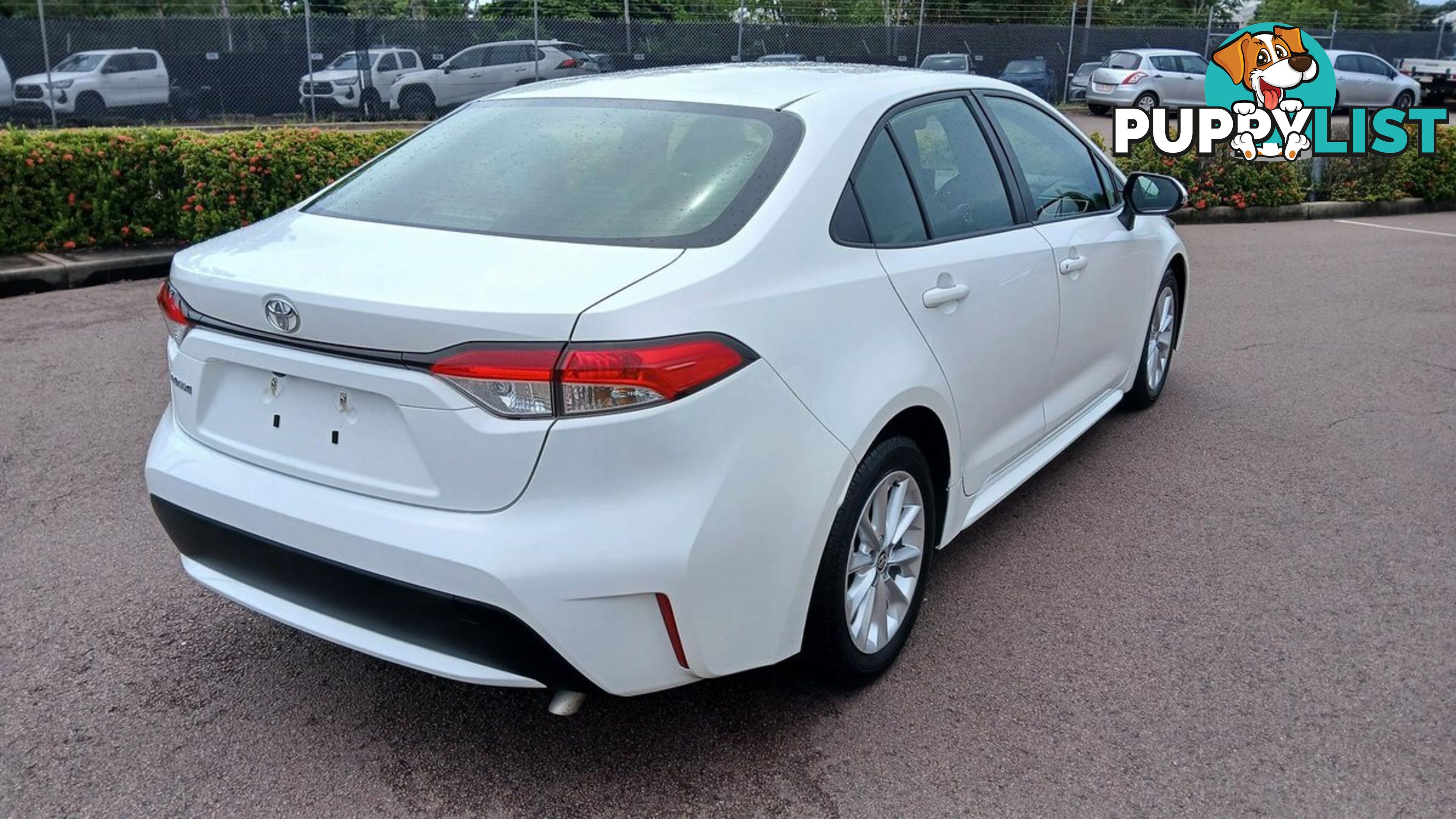 2022 TOYOTA COROLLA ASCENT-SPORT MZEA12R SEDAN
