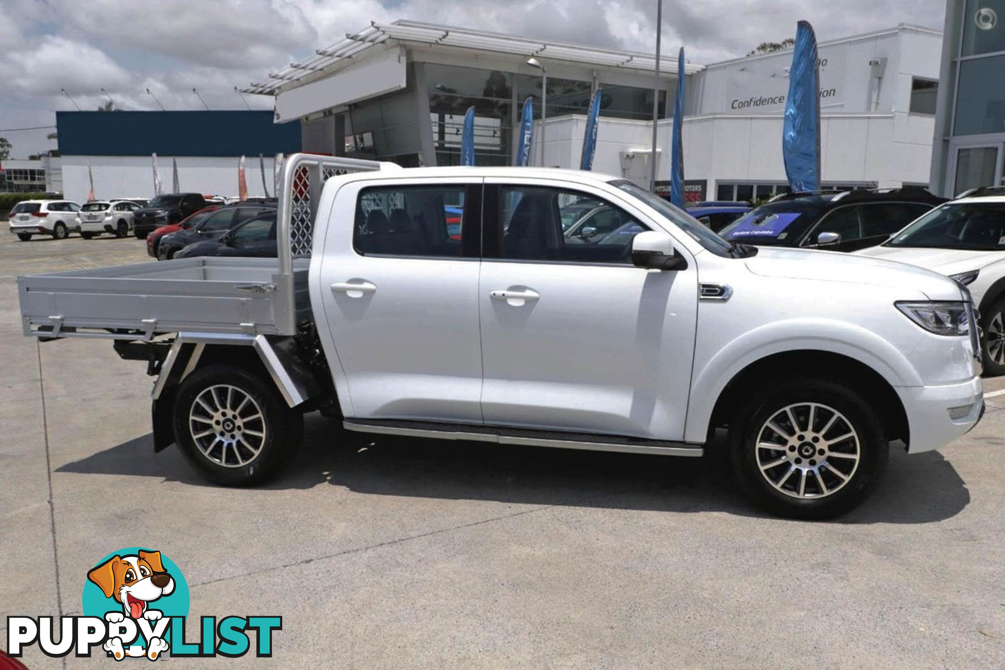 2024 GWM UTE CANNON-CC NPW-4X4 DUAL CAB TRAYTOP