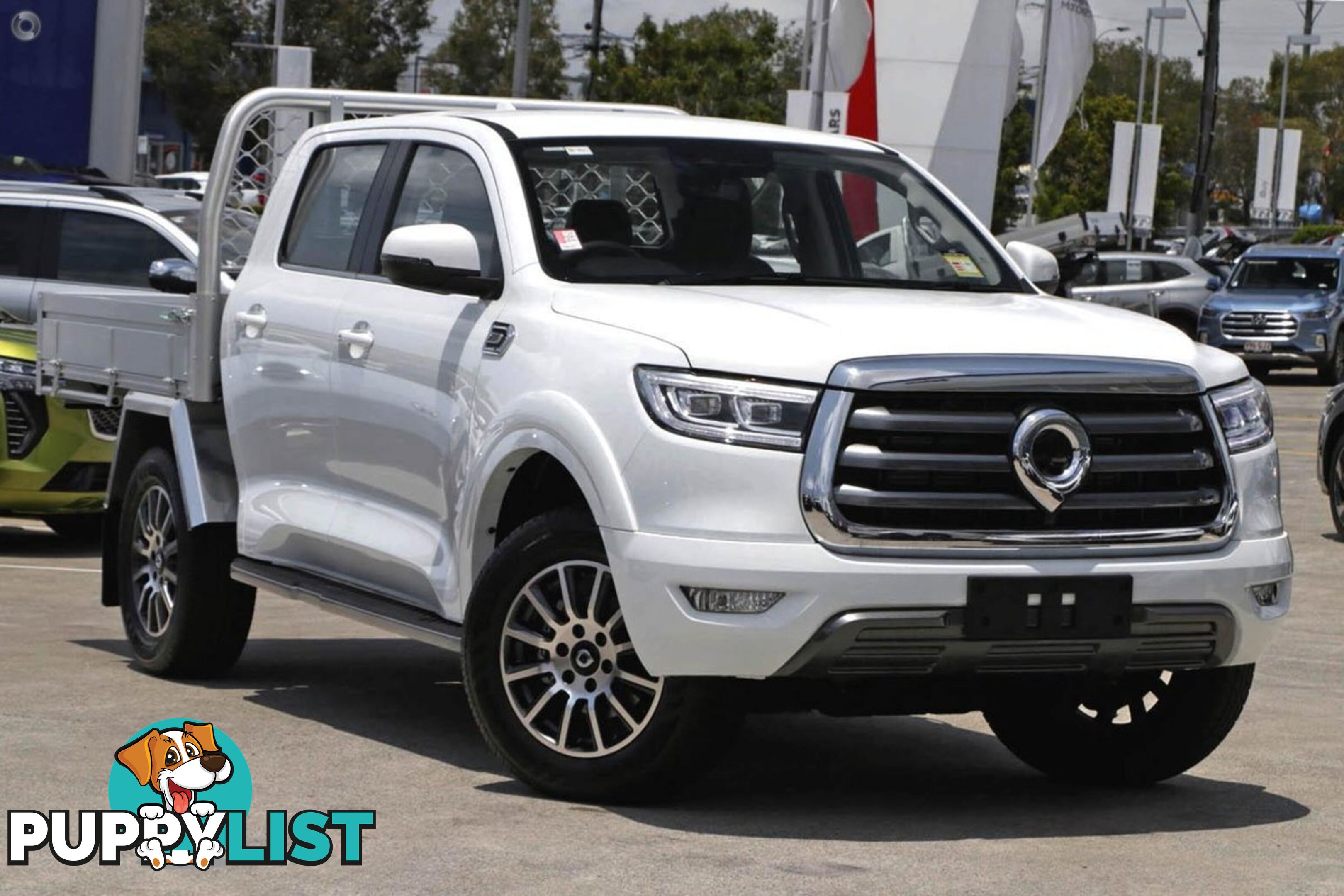 2024 GWM UTE CANNON-CC NPW-4X4 DUAL CAB TRAYTOP