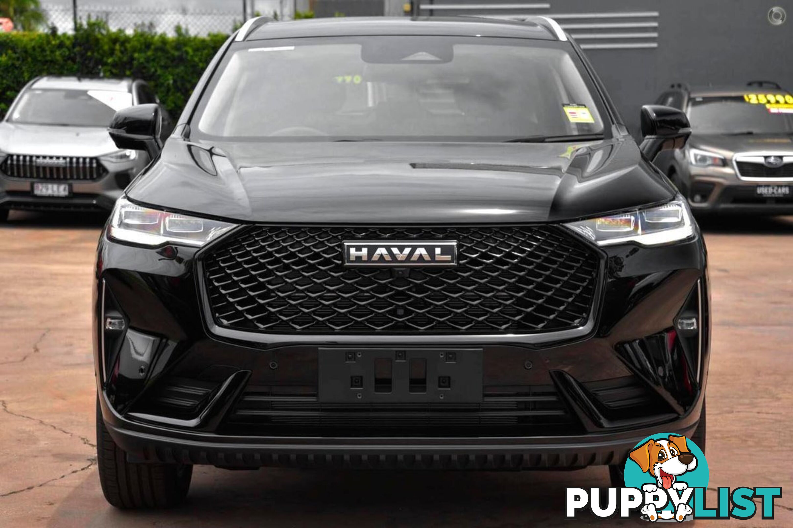 2025 GWM HAVAL-H6 VANTA B01 SUV