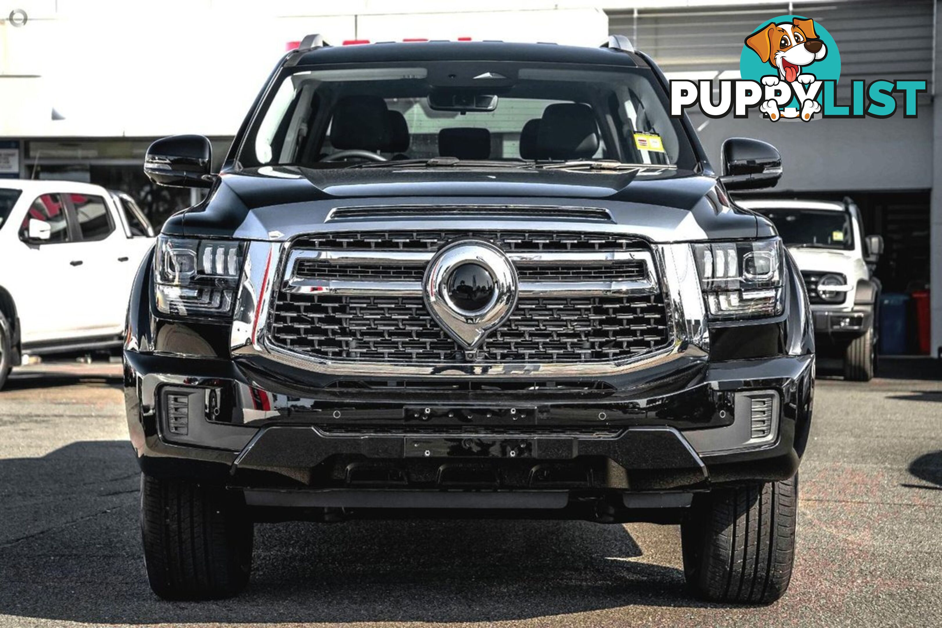 2024 GWM CANNON-ALPHA LUX P05-FOUR-WHEEL-DRIVE DUAL CAB UTILITY