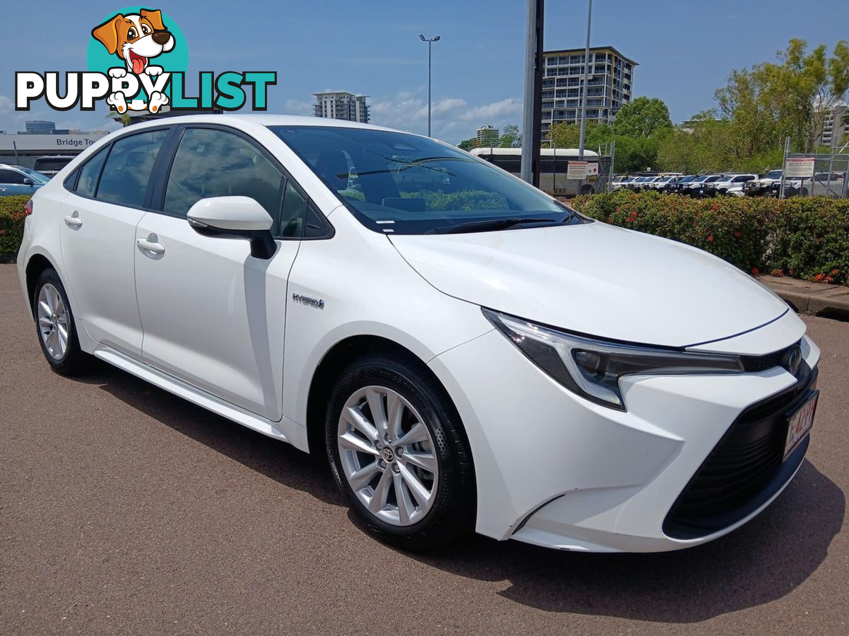 2023 TOYOTA COROLLA ASCENT-SPORT-HYBRID ZWE219R SEDAN