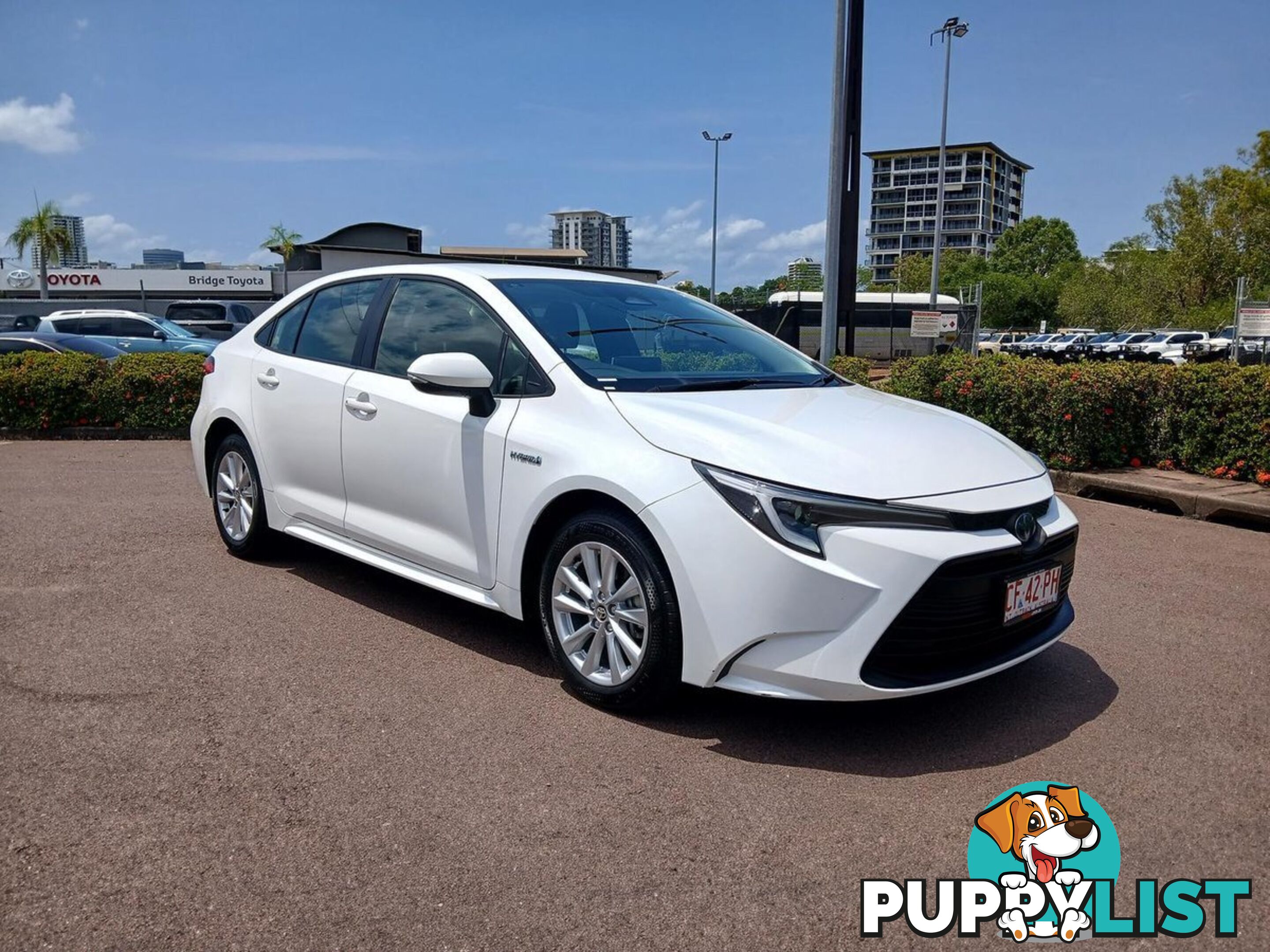 2023 TOYOTA COROLLA ASCENT-SPORT-HYBRID ZWE219R SEDAN