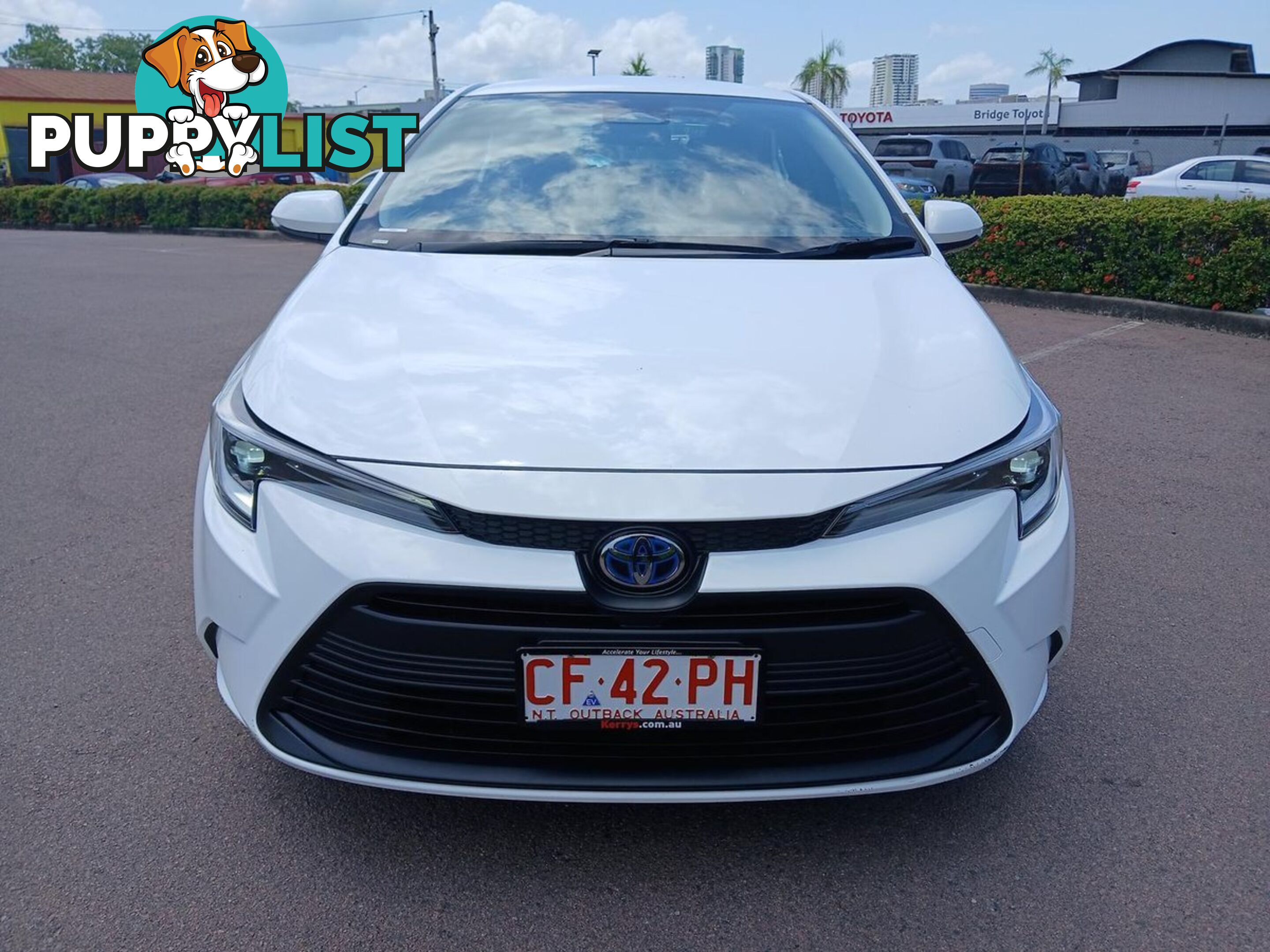 2023 TOYOTA COROLLA ASCENT-SPORT-HYBRID ZWE219R SEDAN