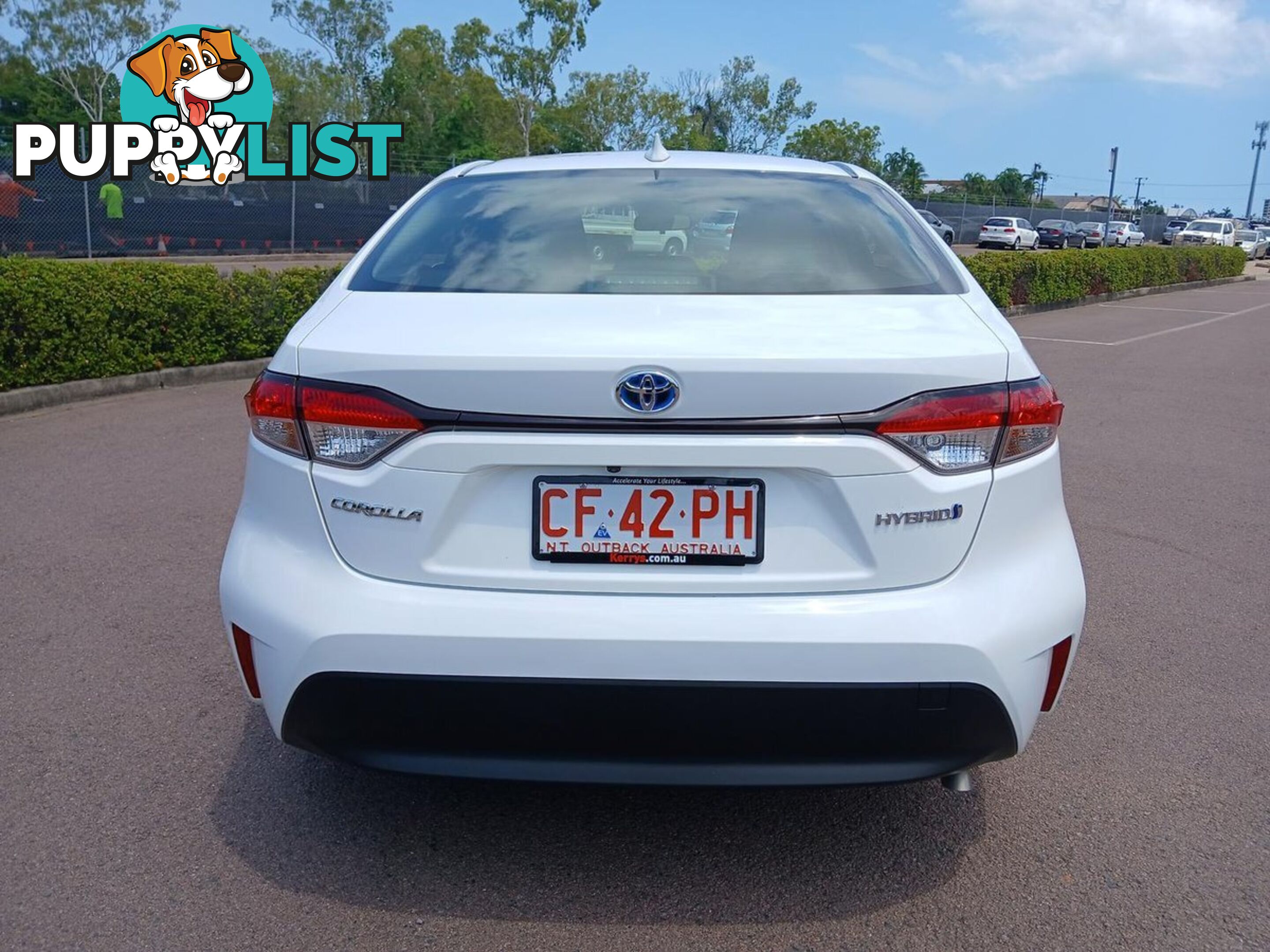 2023 TOYOTA COROLLA ASCENT-SPORT-HYBRID ZWE219R SEDAN