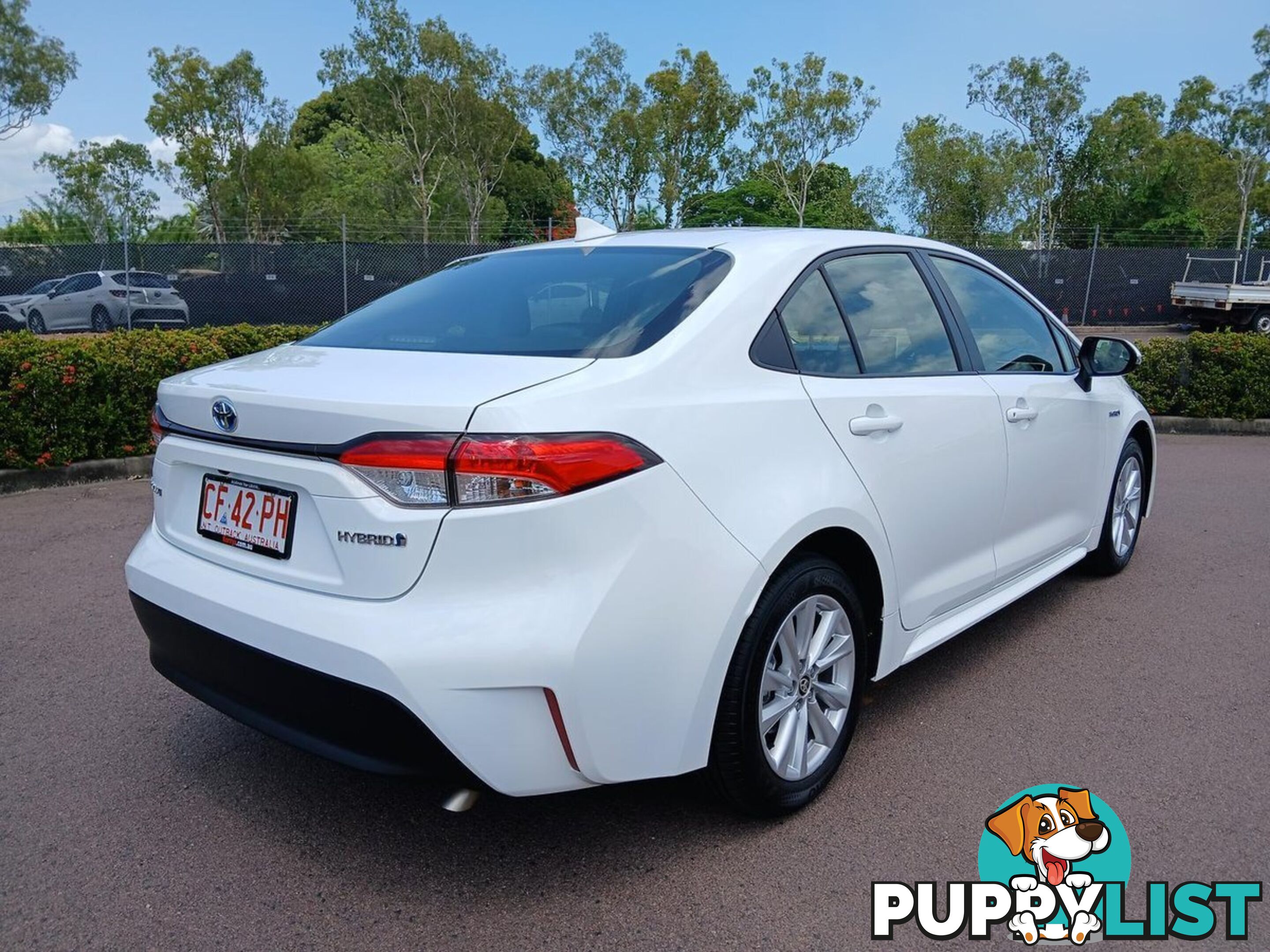 2023 TOYOTA COROLLA ASCENT-SPORT-HYBRID ZWE219R SEDAN