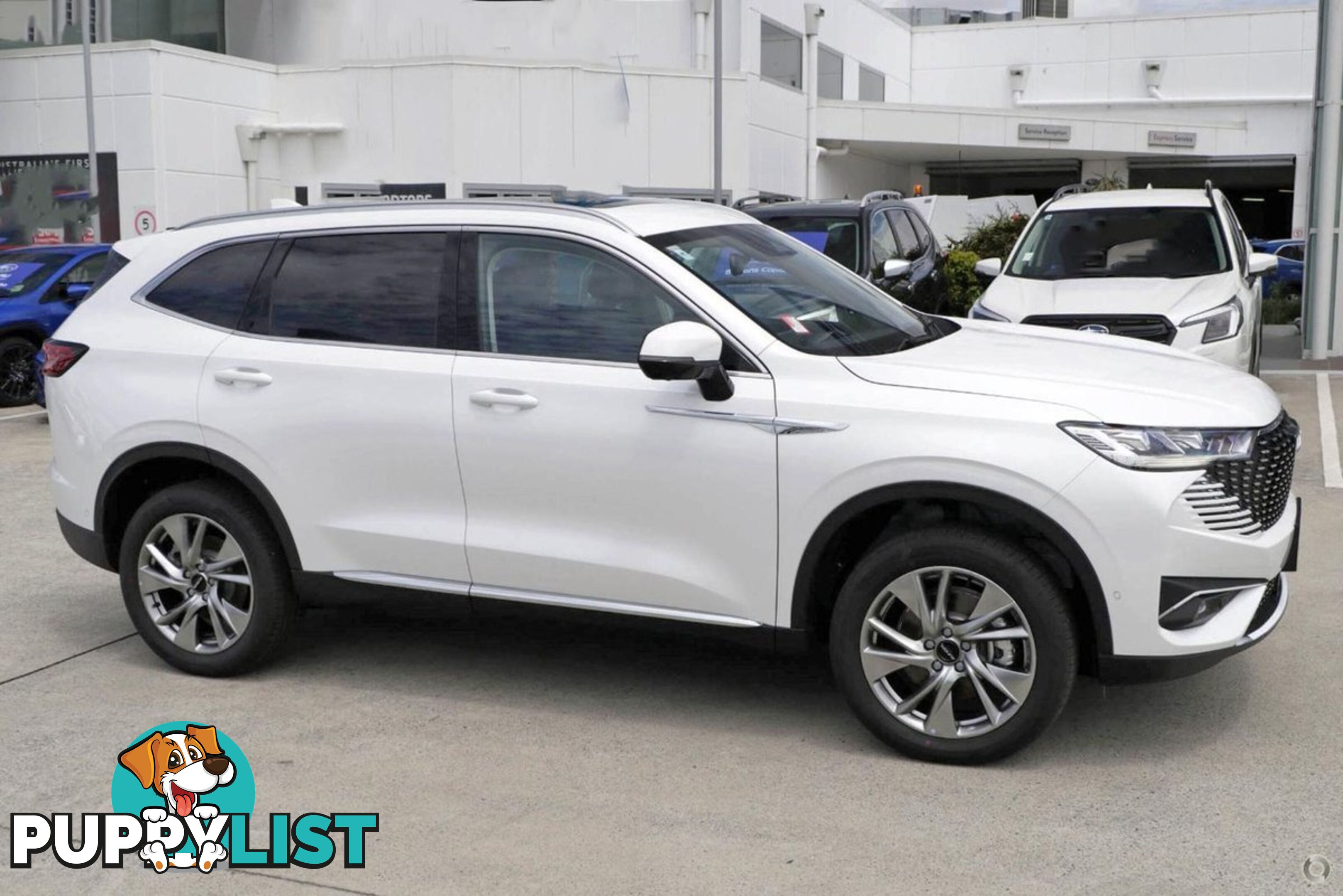 2024 GWM HAVAL-H6 ULTRA-HYBRID B01 SUV