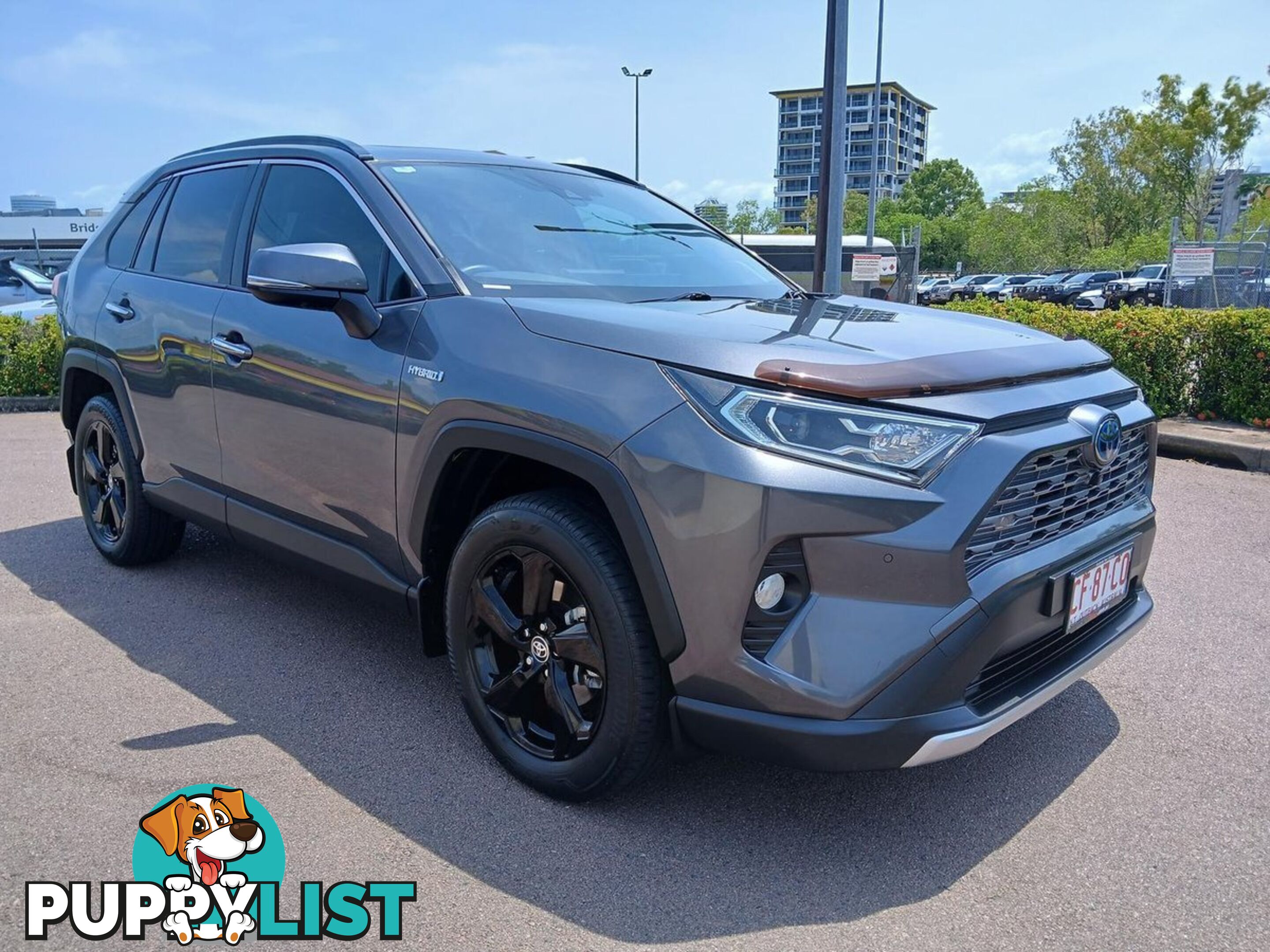 2020 TOYOTA RAV4 CRUISER AXAH52R SUV