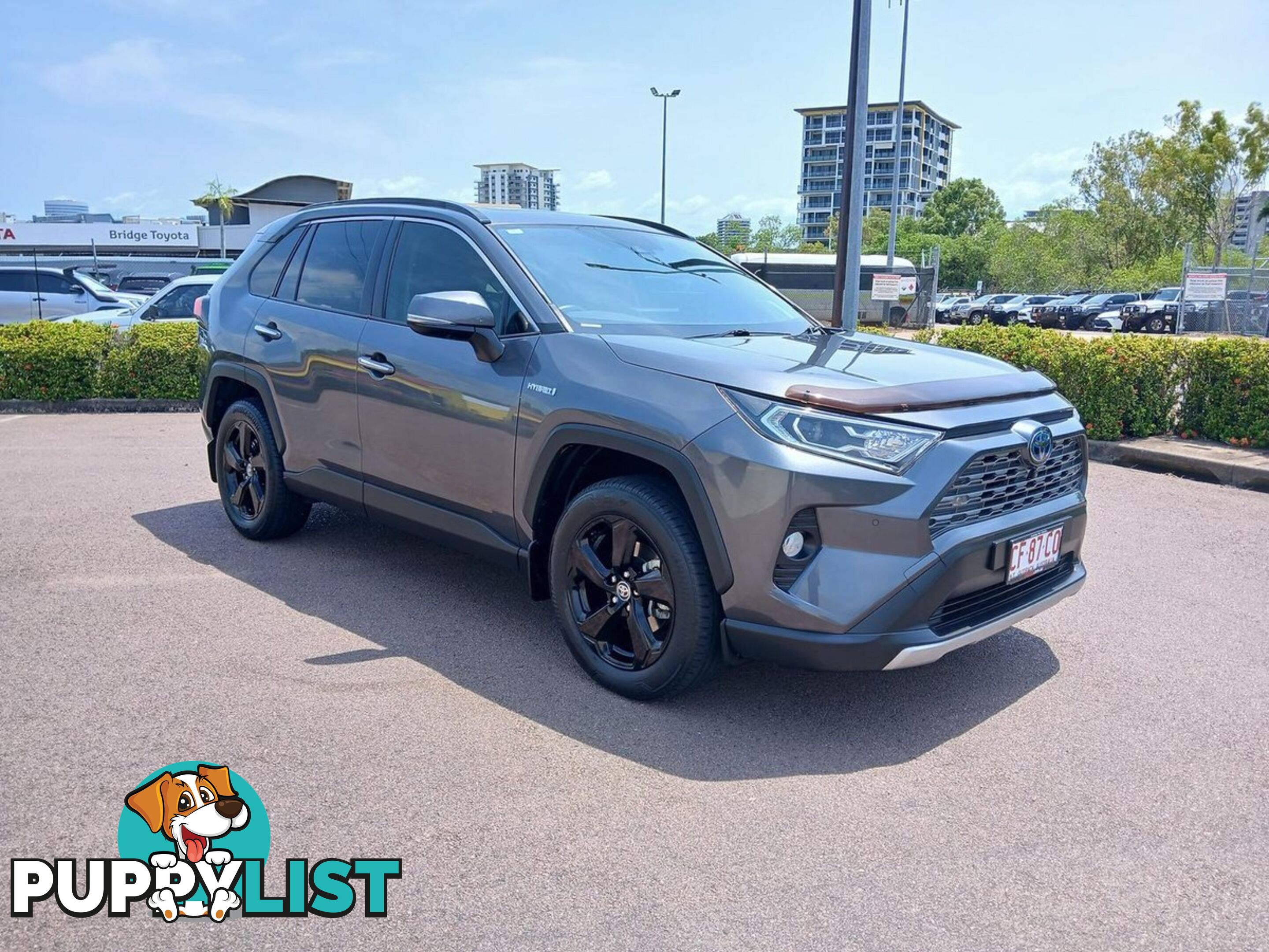 2020 TOYOTA RAV4 CRUISER AXAH52R SUV