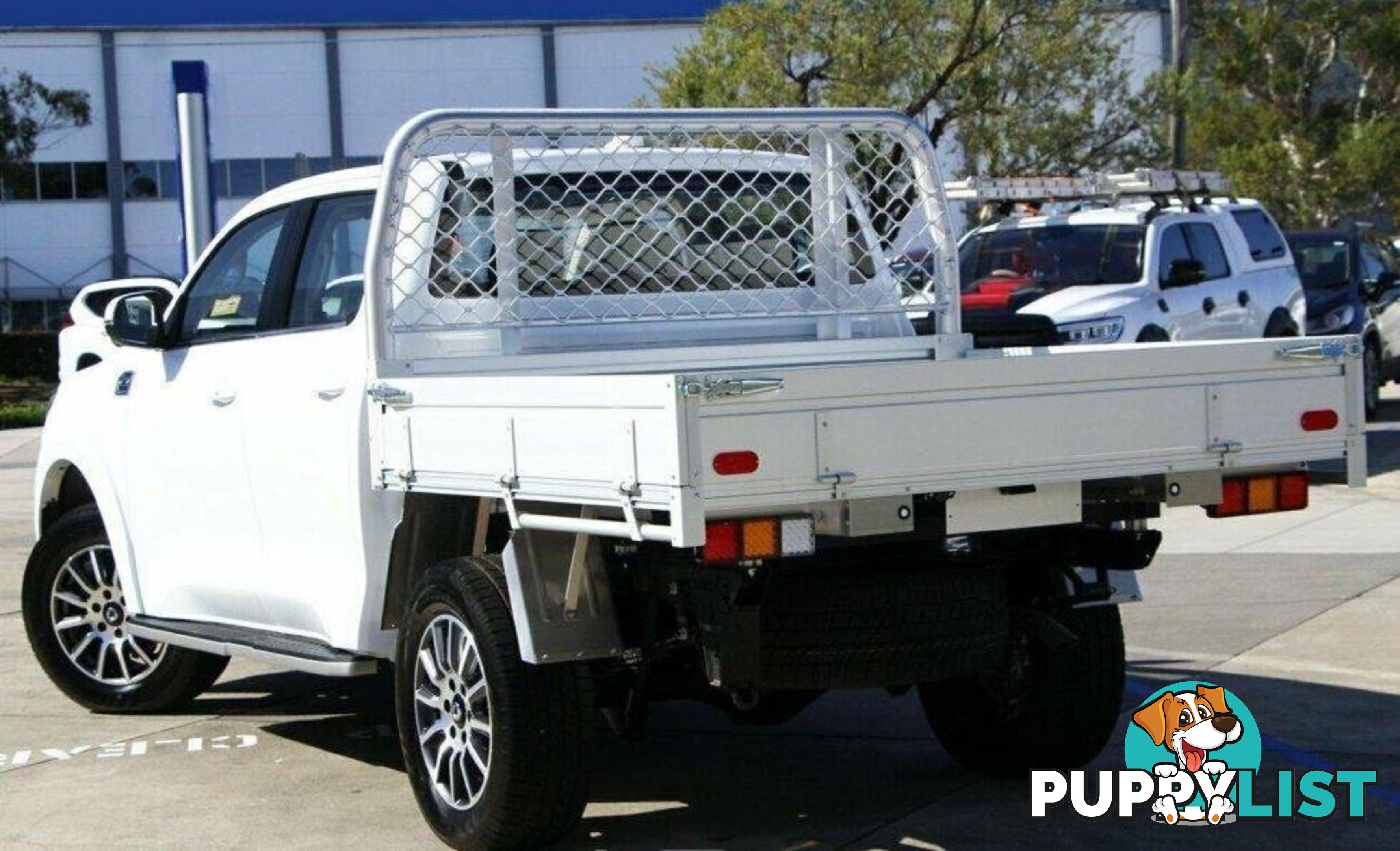 2024 GWM UTE CANNON-PREMIUM-CC NPW-4X4 DUAL CAB TRAYTOP