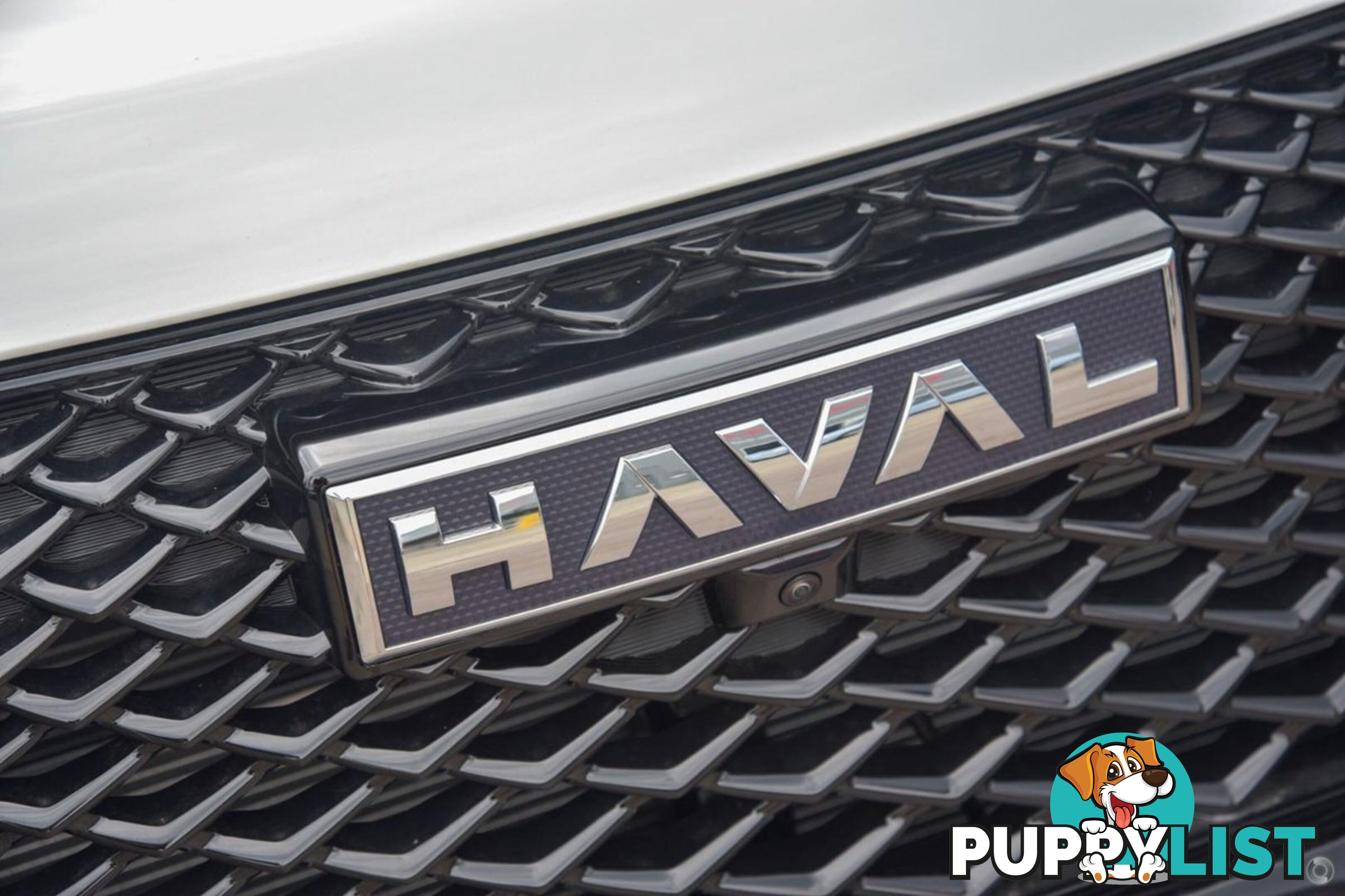 2024 GWM HAVAL-H6 VANTA B01 SUV