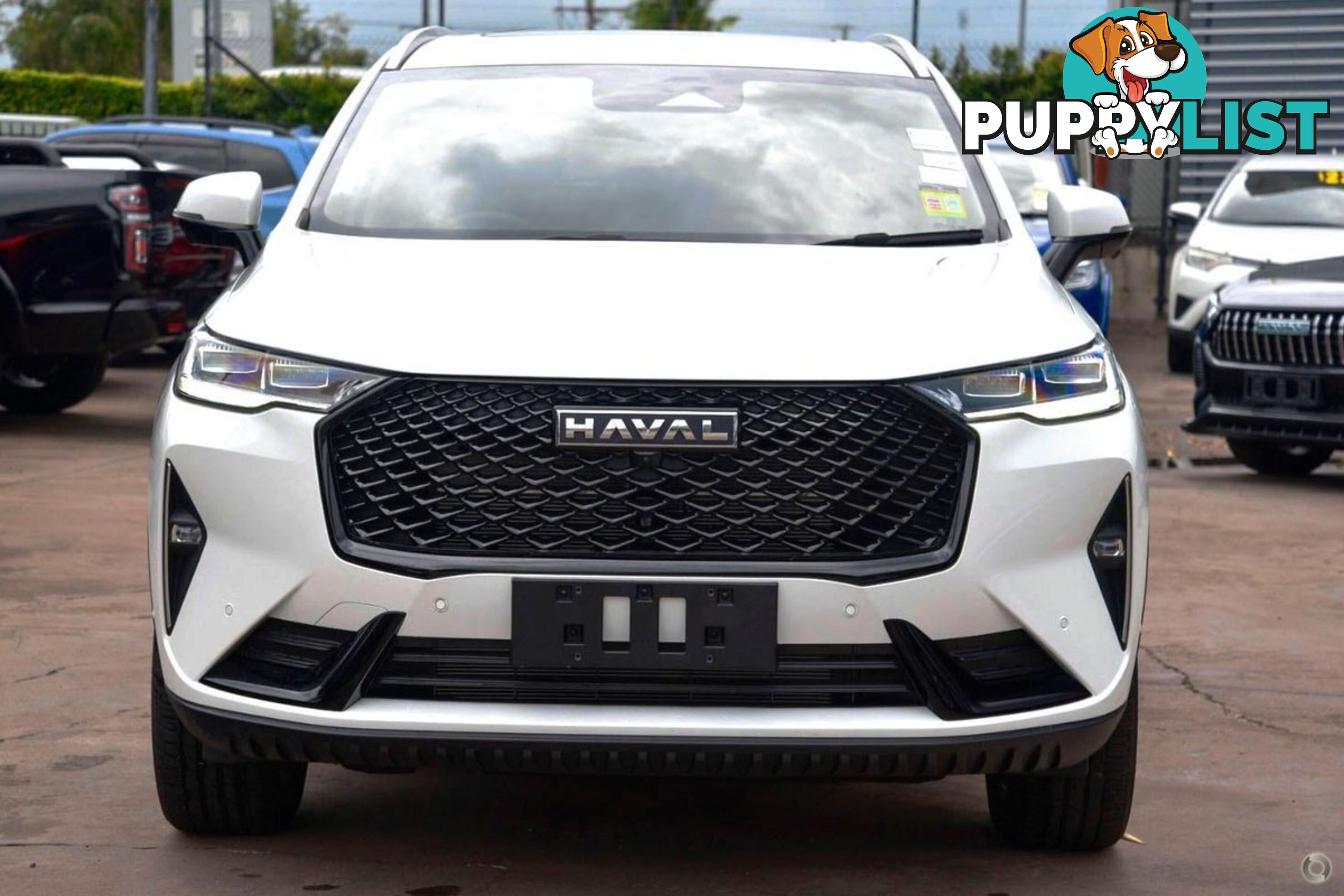 2024 GWM HAVAL-H6 VANTA B01 SUV