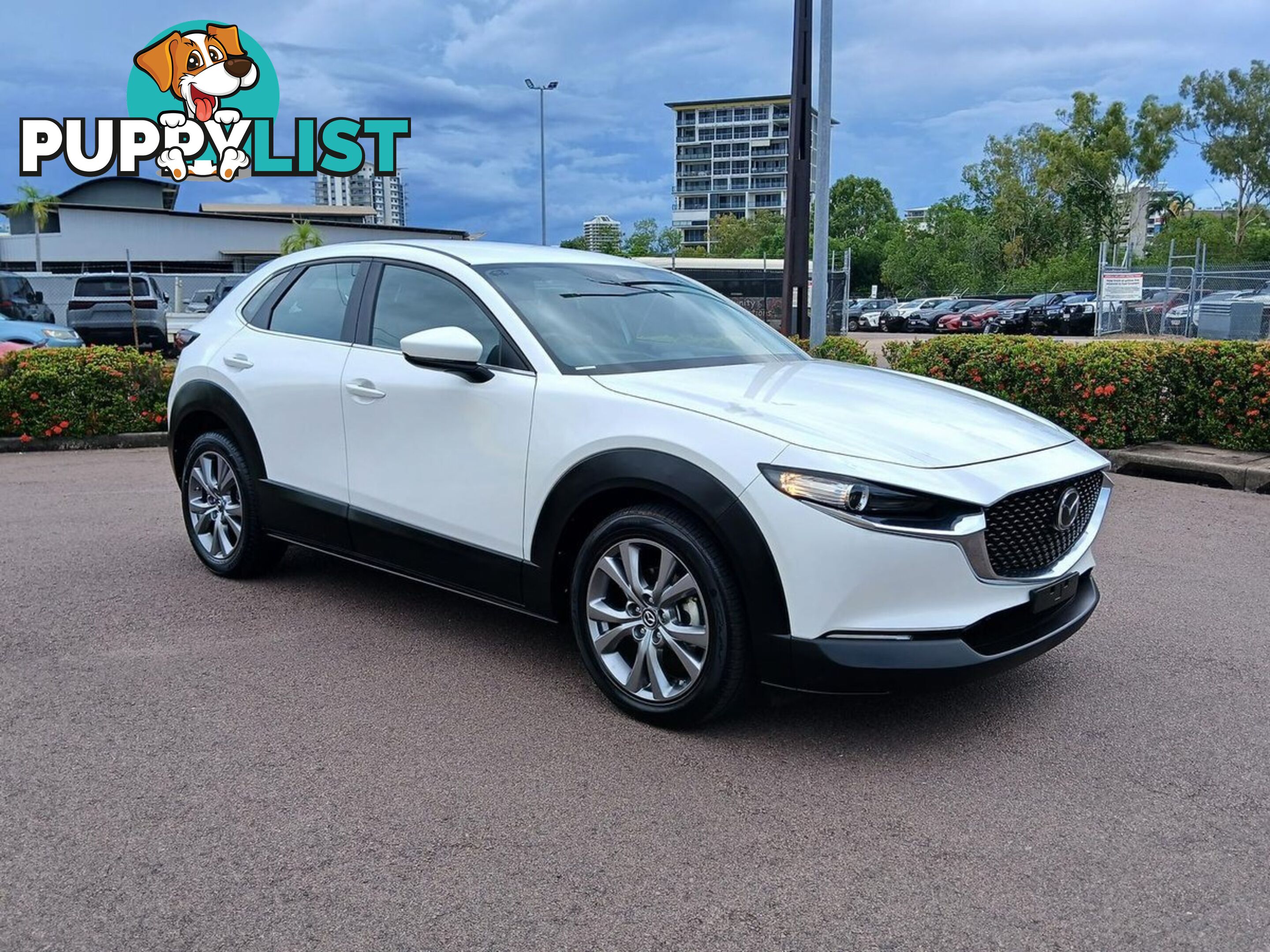 2023 MAZDA CX-30 G20-EVOLVE DM-SERIES SUV