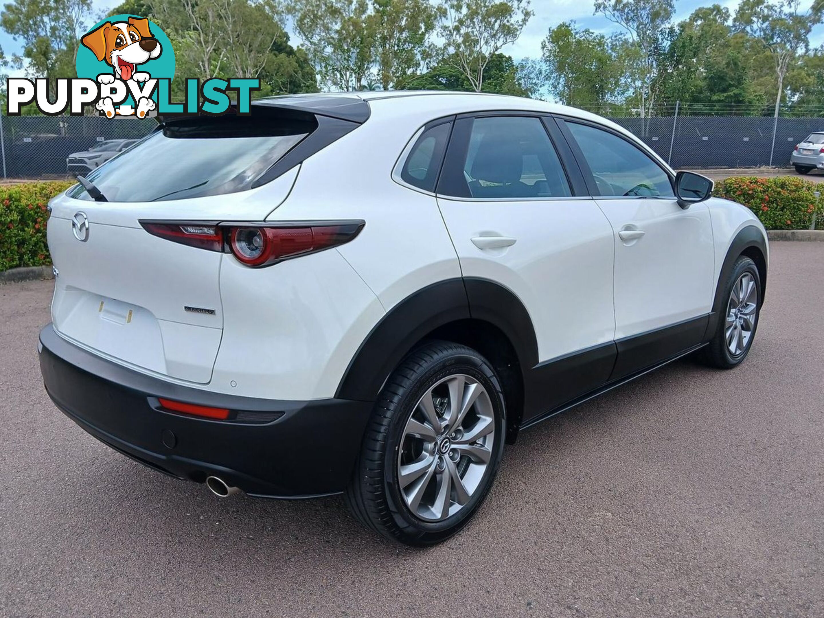 2023 MAZDA CX-30 G20-EVOLVE DM-SERIES SUV