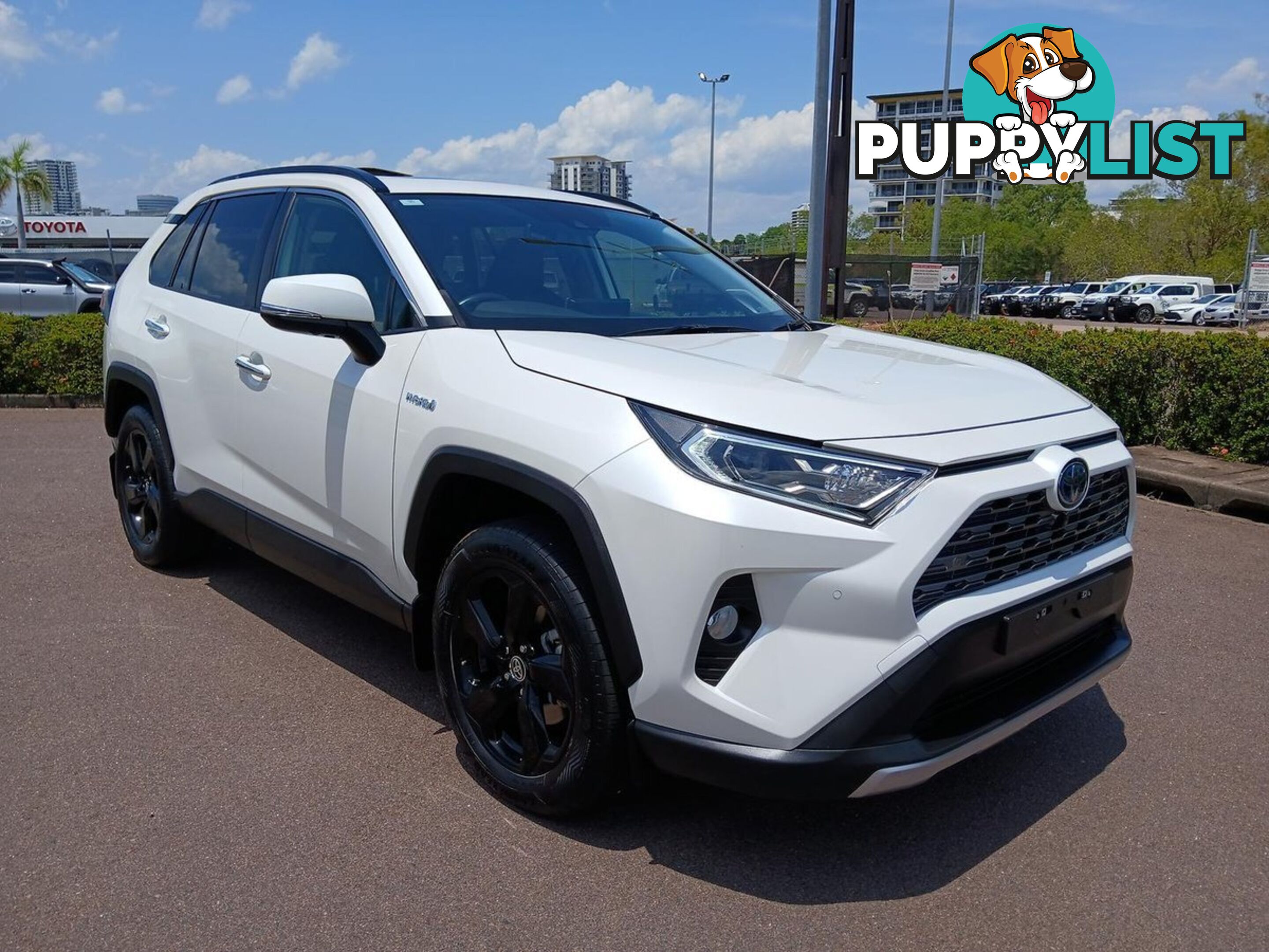 2020 TOYOTA RAV4 CRUISER AXAH54R-4X4-ON-DEMAND SUV