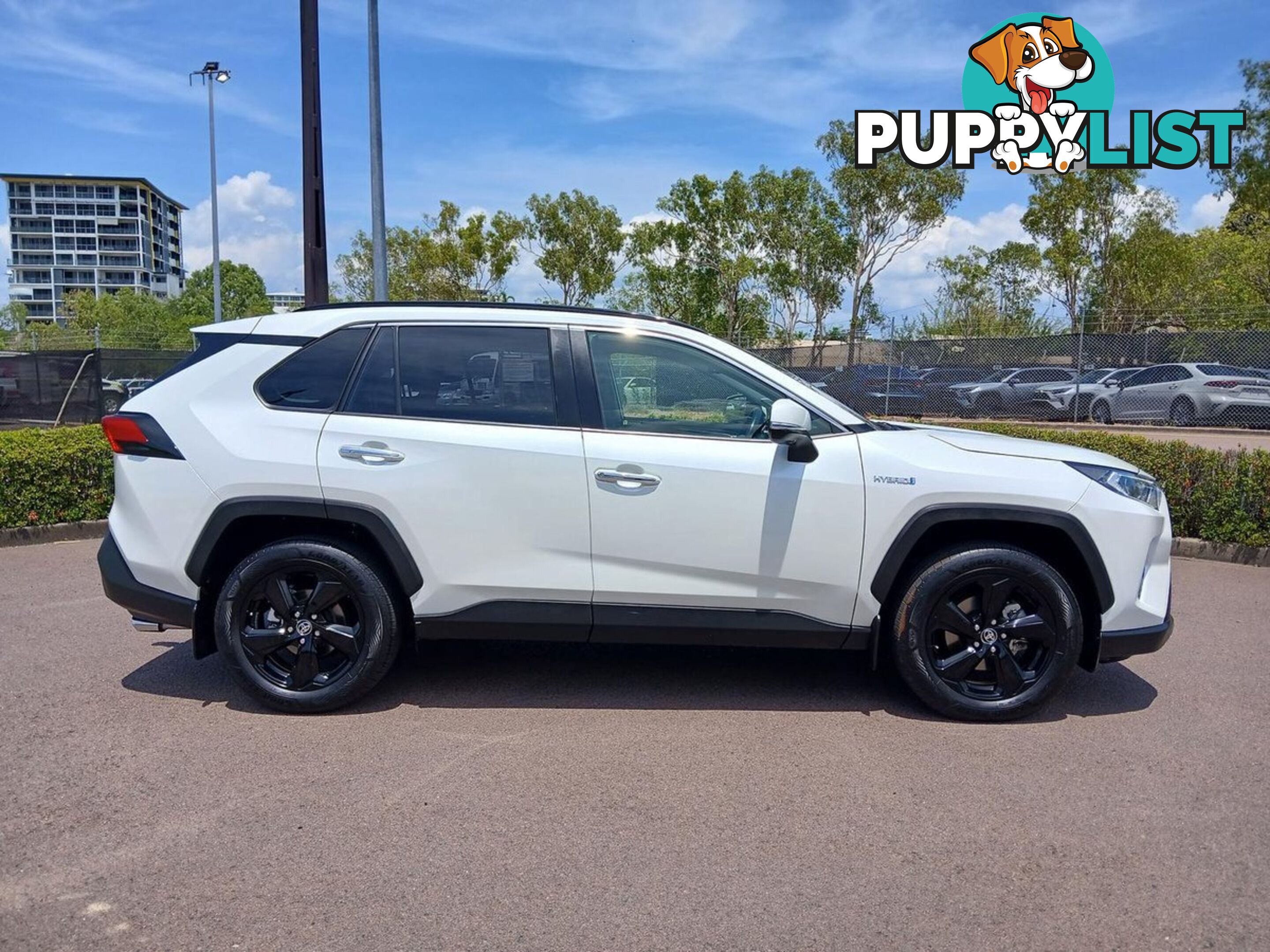 2020 TOYOTA RAV4 CRUISER AXAH54R-4X4-ON-DEMAND SUV