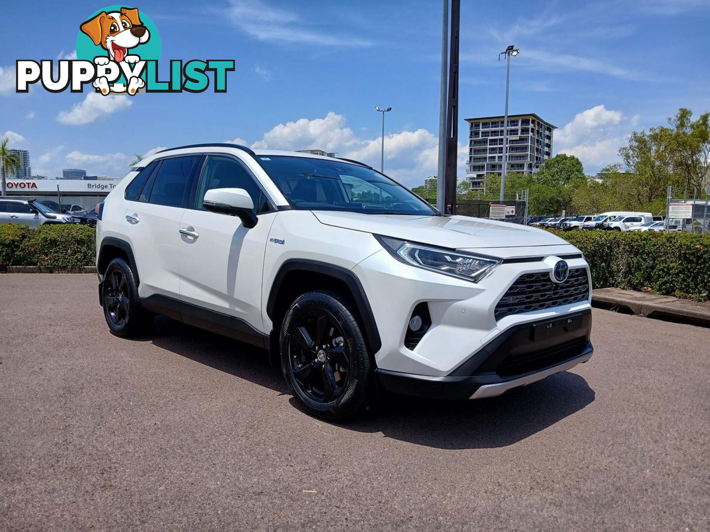 2020 TOYOTA RAV4 CRUISER AXAH54R-4X4-ON-DEMAND SUV