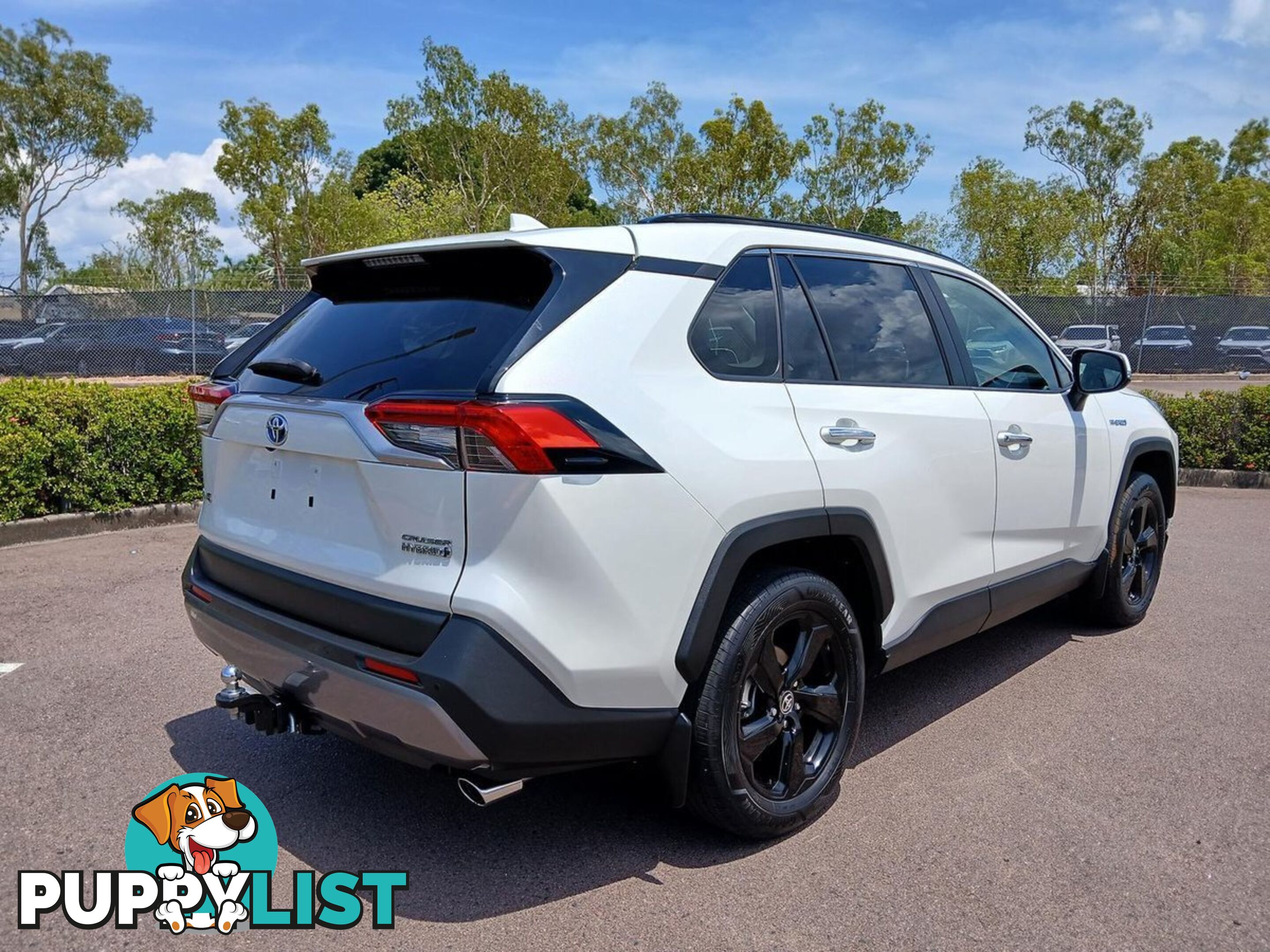 2020 TOYOTA RAV4 CRUISER AXAH54R-4X4-ON-DEMAND SUV