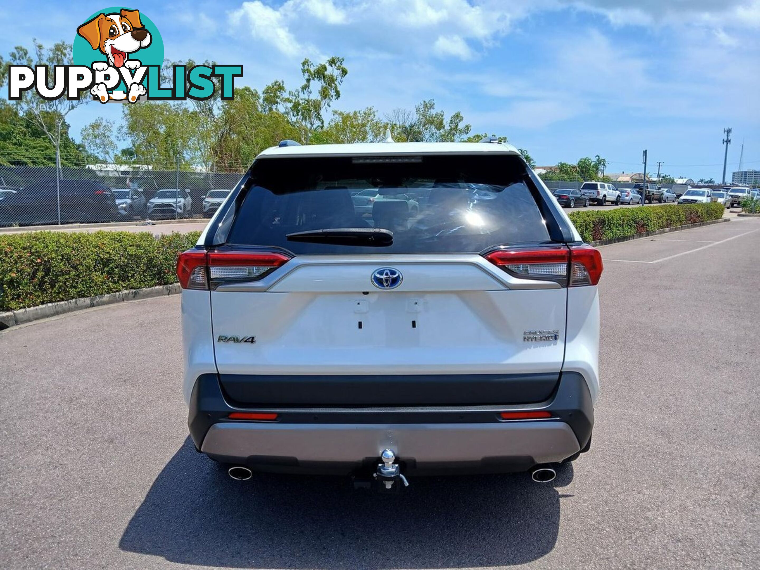 2020 TOYOTA RAV4 CRUISER AXAH54R-4X4-ON-DEMAND SUV