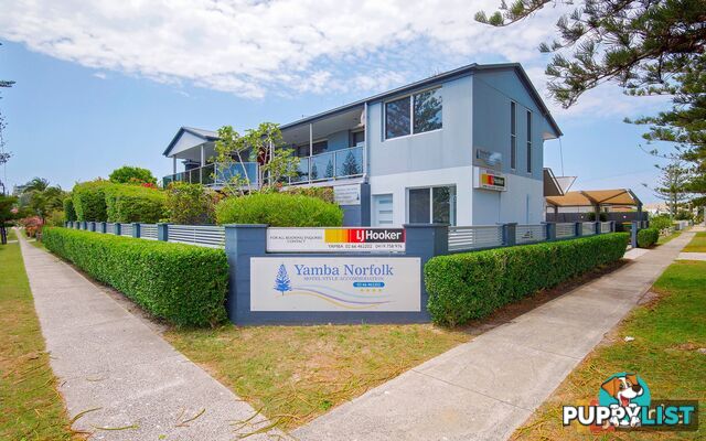 38 Wooli Street YAMBA NSW 2464