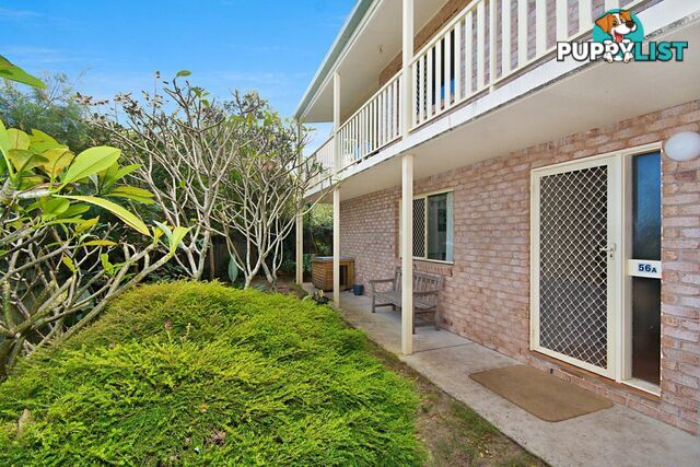 56A Yamba Street YAMBA NSW 2464