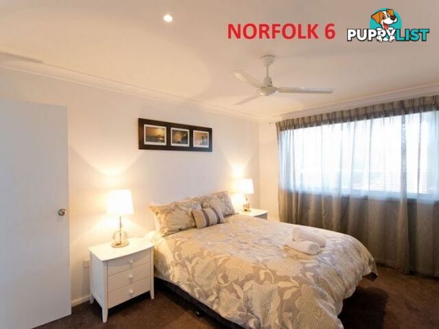 Norfolk 6/38 Wooli Street YAMBA NSW 2464