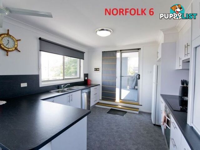 Norfolk 6/38 Wooli Street YAMBA NSW 2464