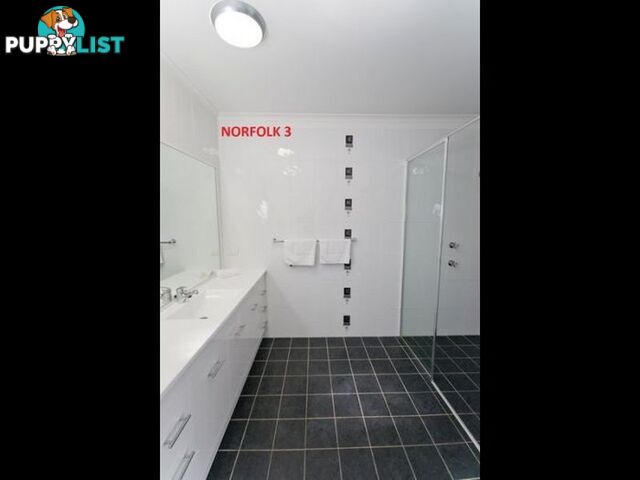 Norfolk/38 Wooli Street YAMBA NSW 2464