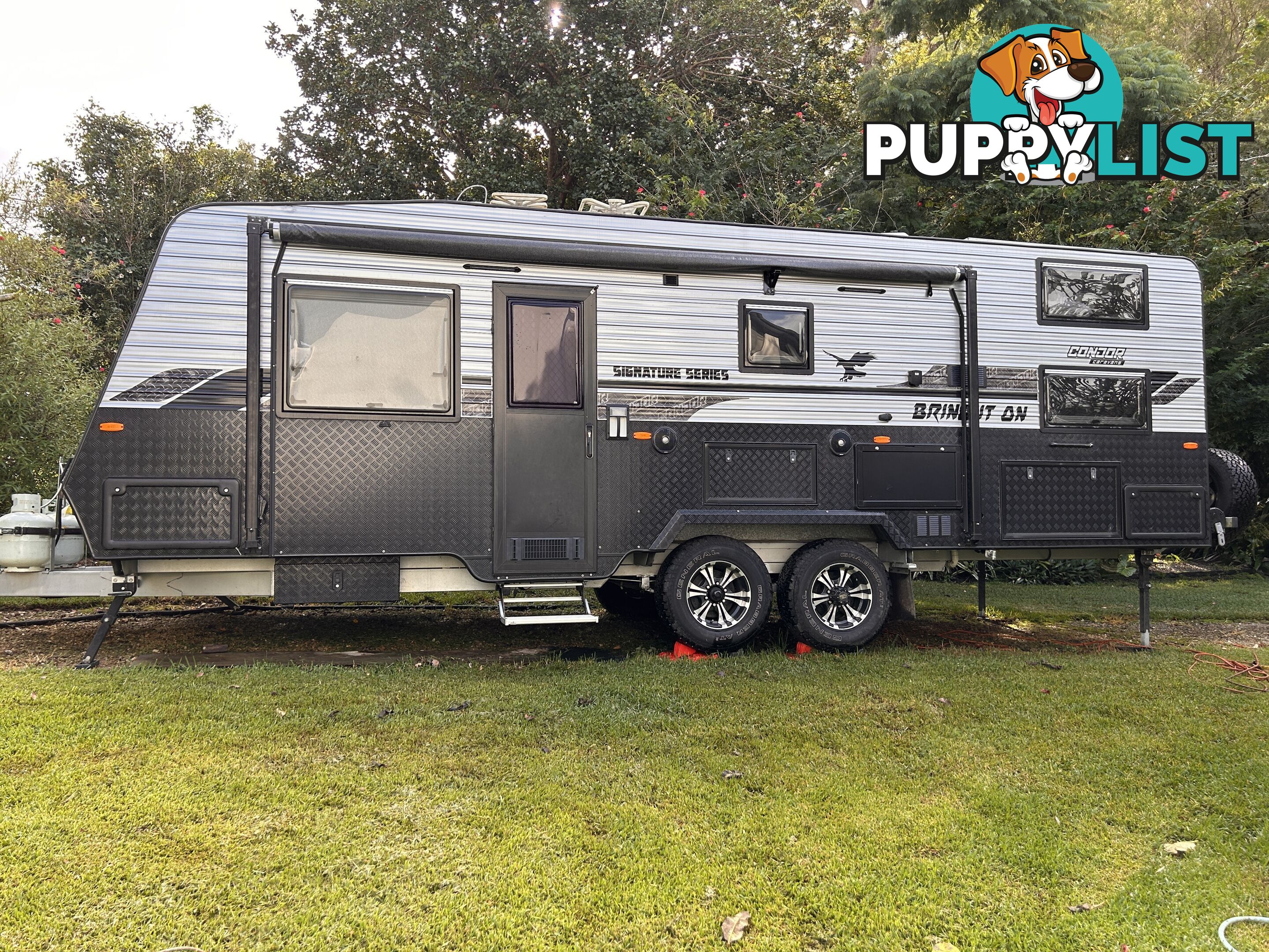 Caravan QUAD bunk 2017 Condor signature series