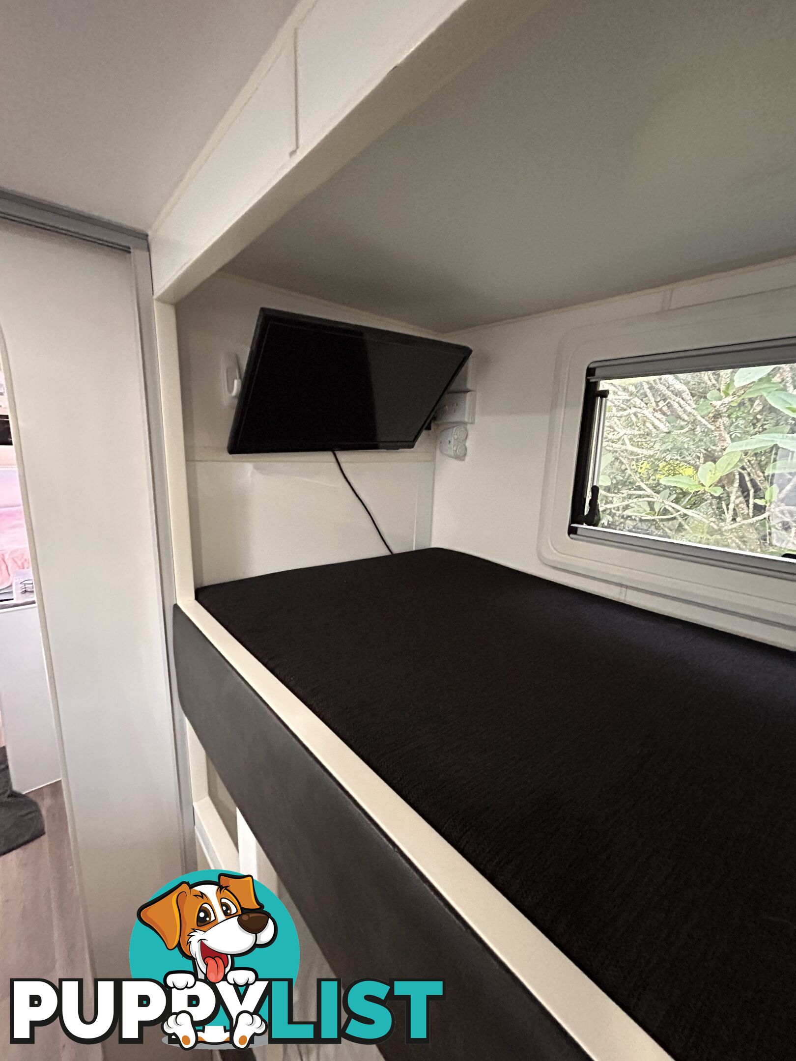 Caravan QUAD bunk 2017 Condor signature series