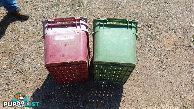 Plastic Stackable Crates