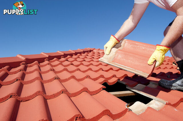 Roof Repair, Surrey Hills, VIC