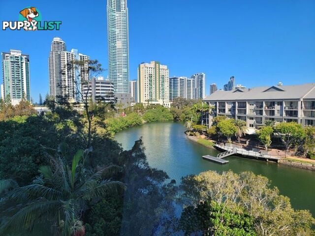 70 Remembrance SURFERS PARADISE QLD 4217