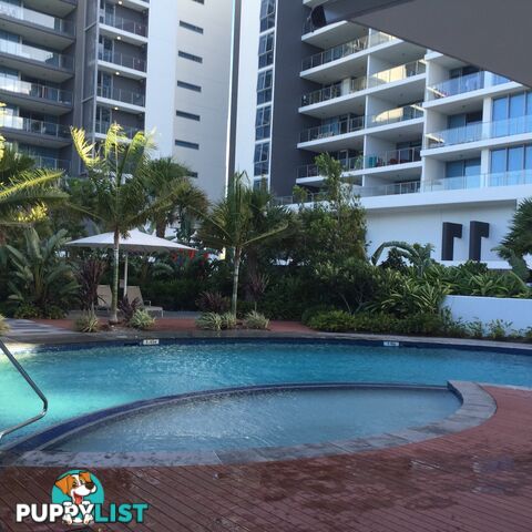 25 EAST QUAY DRIVE BIGGERA WATERS QLD 4216