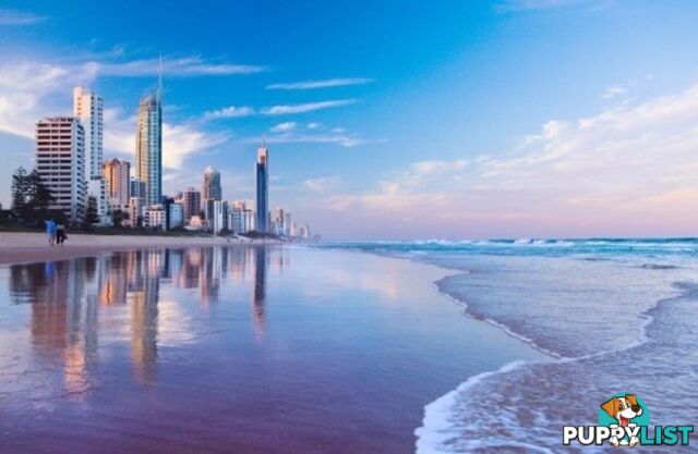 70 Remembrance SURFERS PARADISE QLD 4217