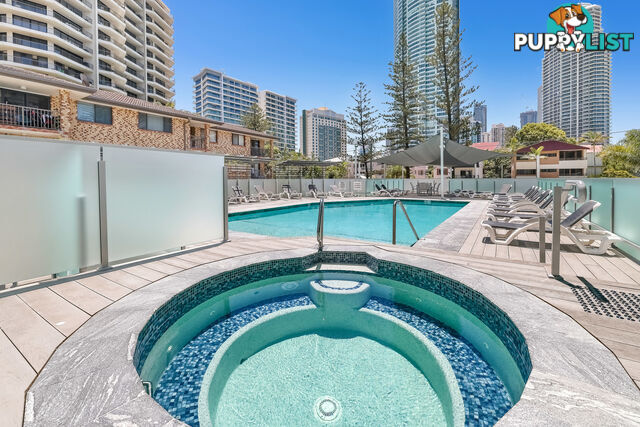 103 5 Enderley ave SURFERS PARADISE QLD 4217