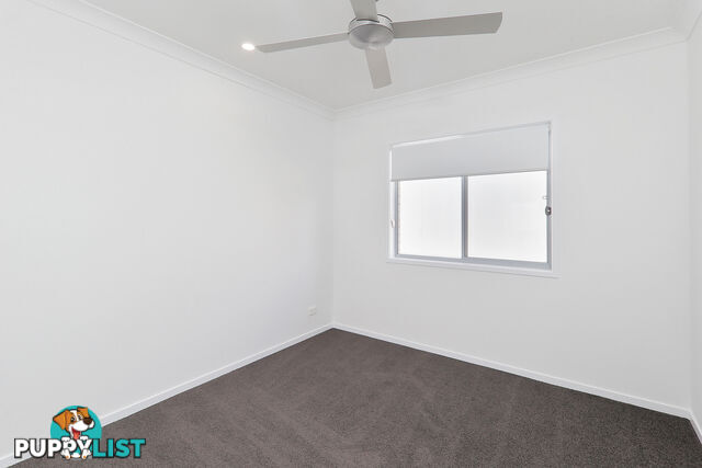 19 Aaron Cct BROWNS PLAINS QLD 4118