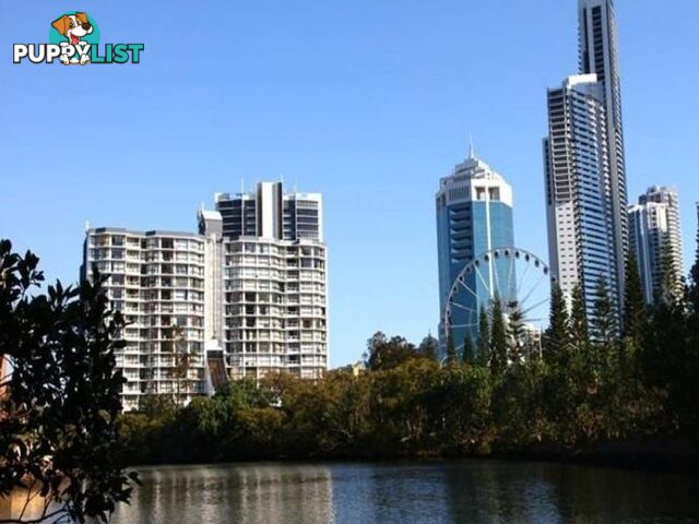 70 Remembrance SURFERS PARADISE QLD 4217