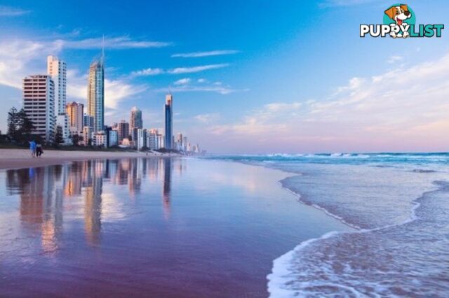 70 Remembrance SURFERS PARADISE QLD 4217