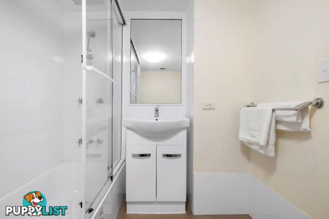 Unit 3 38-42 Duringan Street CURRUMBIN QLD 4223