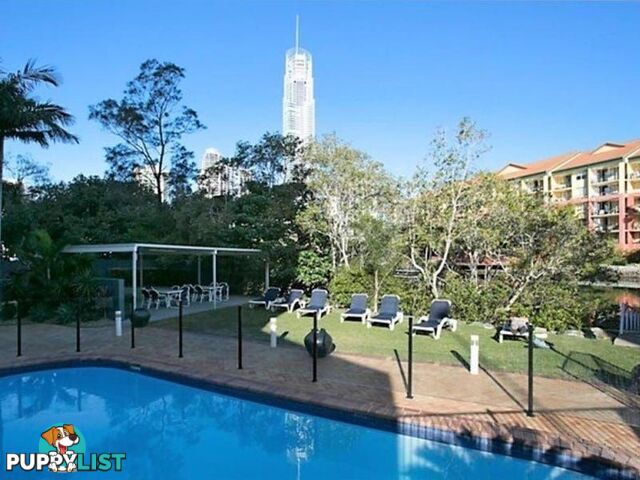 70 Remembrance SURFERS PARADISE QLD 4217