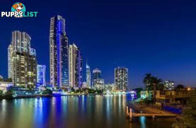 70 Remembrance SURFERS PARADISE QLD 4217