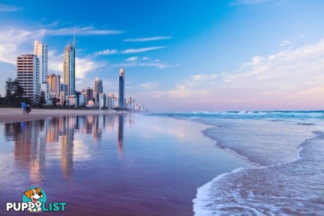 70 Remembrance SURFERS PARADISE QLD 4217