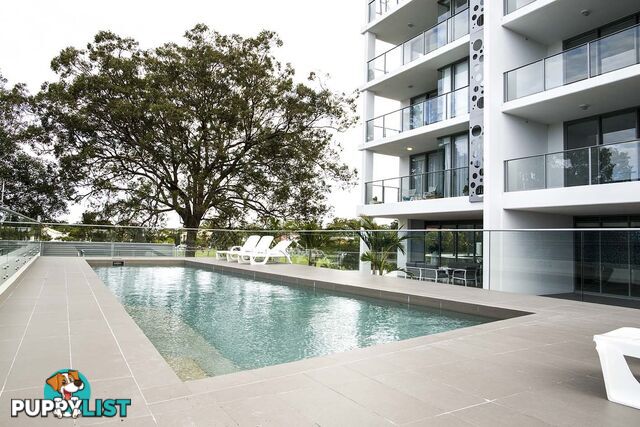 17 BATH STREET LABRADOR QLD 4215