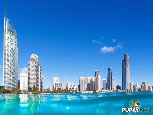 70 Remembrance SURFERS PARADISE QLD 4217