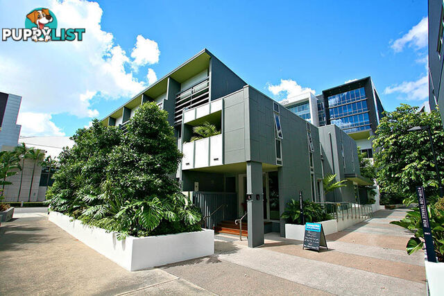 8e 46 MERIVALE ST SOUTH BRISBANE QLD 4101